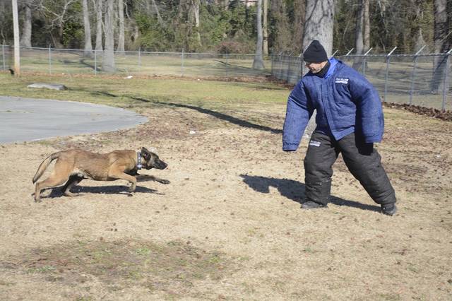 Seahawks Daily: K9 Time