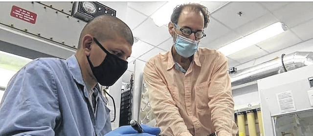 UNCP professor, Biotech Center team identify dementia-related brain alterations due to military