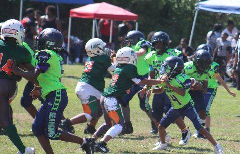 Sandhill Seahawks win championship