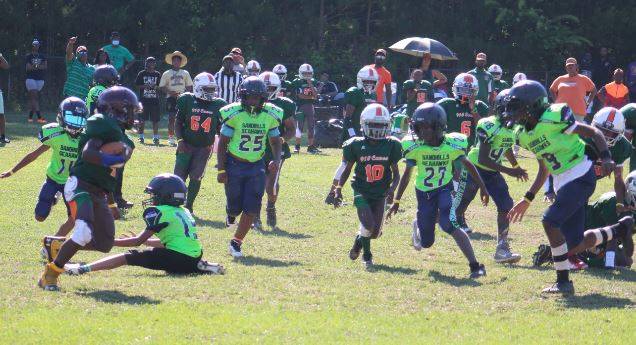 Sandhill Seahawks win championship