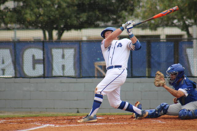 High school baseball season preview - Daily Journal